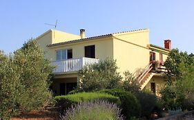 Apartments With A Parking Space Zaglav, Dugi Otok - 878
